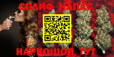 гидра Гусев